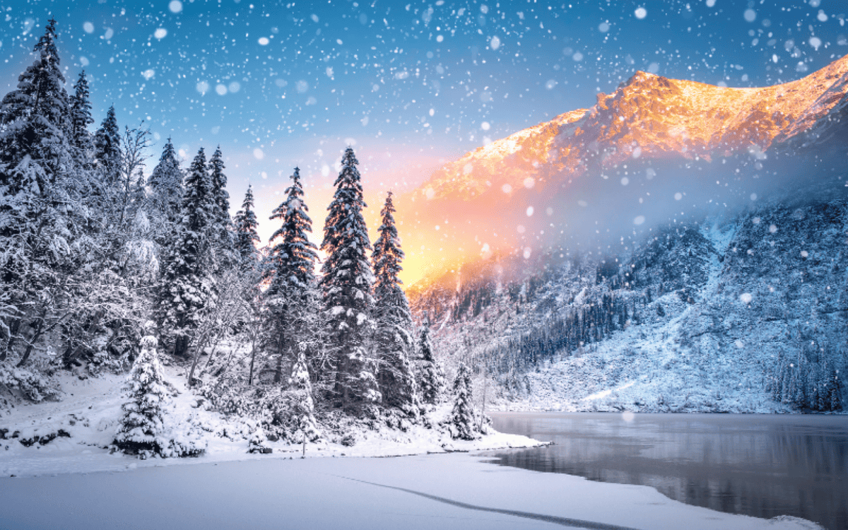 Posebna ponuda slika